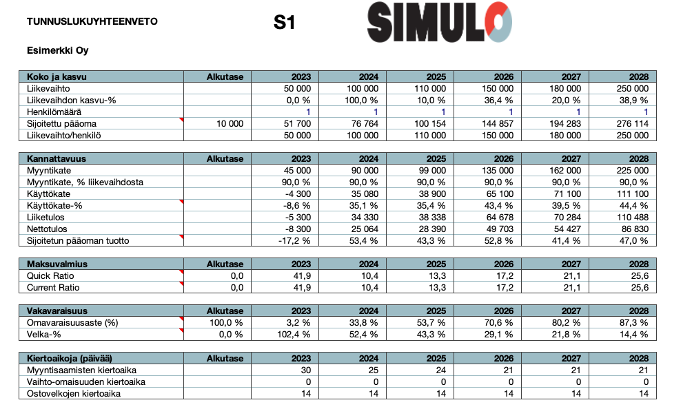 S1 Income statement and balance sheet of a starting company